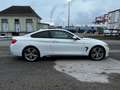BMW 430 430d xDrive Coupe M Sport Aut. Weiß - thumbnail 5