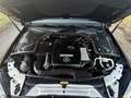 Mercedes-Benz C 250 Coupe 9G-TRONIC Night Edition - thumbnail 10