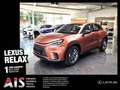 Lexus LBX 1,5 FWD Komfort Paket Rot - thumbnail 1