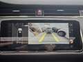 Land Rover Range Rover Evoque 2.0d mhev R-Dynamic SE Tetto C20 RDynamic Bianco - thumbnail 14