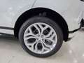 Land Rover Range Rover Evoque 2.0d mhev R-Dynamic SE Tetto C20 RDynamic Bianco - thumbnail 18