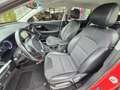 Kia Niro 1.6 GDi Hybrid DynamicLine AUTOMAAT Clima|Navi|Cru Rouge - thumbnail 12