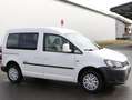 Volkswagen Caddy Caddy TDI 1.6 TDI (5-Si.) BMT Startline Weiß - thumbnail 10