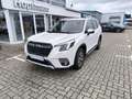 Subaru Forester 2.0ie e-Boxer Comfort LED/ACC/BLIS Weiß - thumbnail 1
