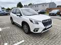 Subaru Forester 2.0ie e-Boxer Comfort LED/ACC/BLIS Weiß - thumbnail 6