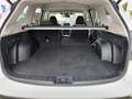 Subaru Forester 2.0ie e-Boxer Comfort LED/ACC/BLIS Weiß - thumbnail 25