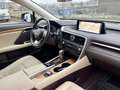 Lexus RX 450h 3.5 Luxury 263cv cvt pari al nuovo - thumbnail 10