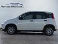 Fiat Panda 1.0 GSE Klima PDC DAB Radio Berganfahrass. Funkfer Weiß - thumbnail 2