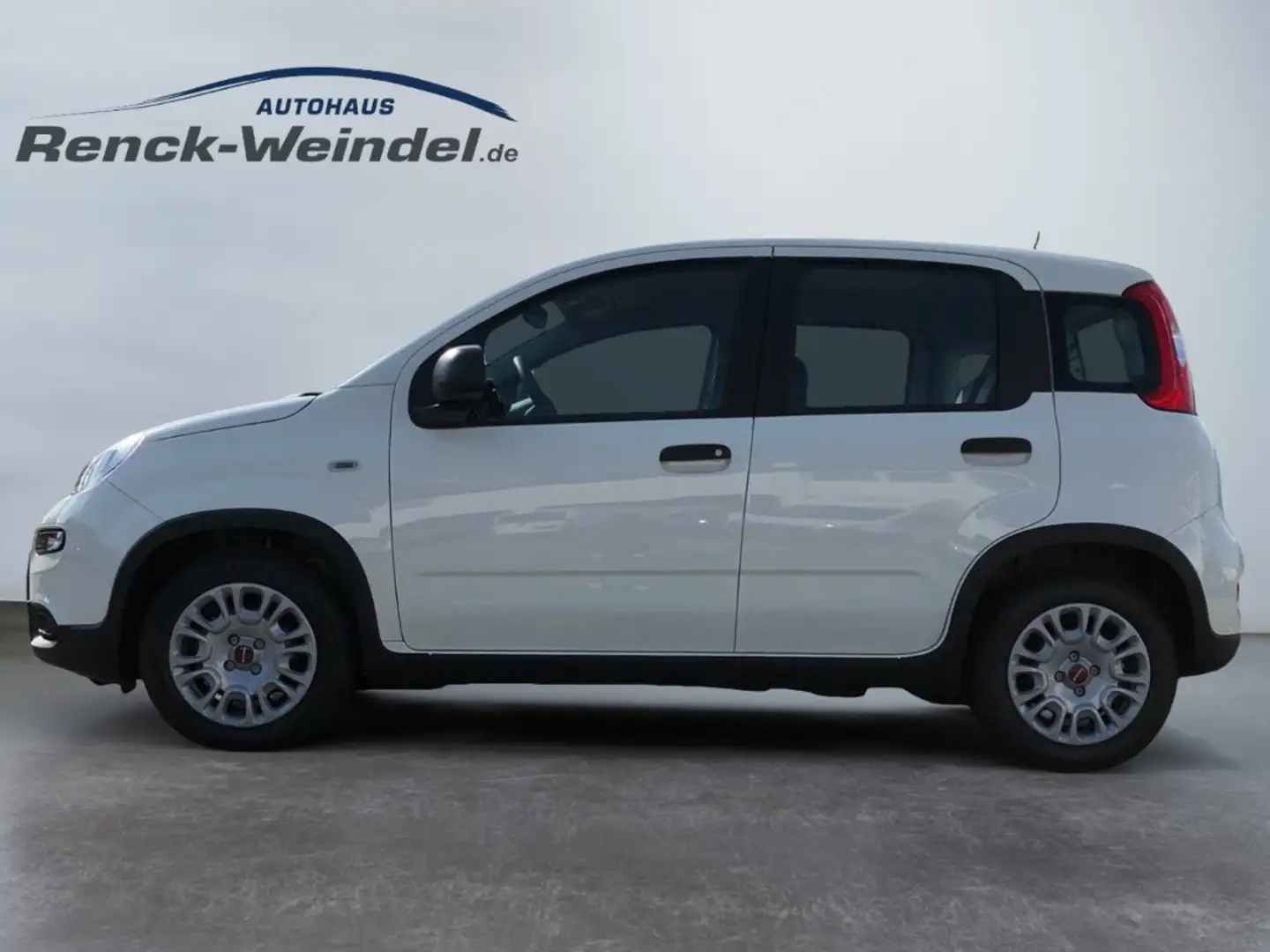 Fiat Panda 1.0 GSE Klima PDC DAB Radio Berganfahrass. Funkfer Weiß - 2