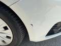SEAT Alhambra Business TDI CR 4Drive Weiß - thumbnail 19