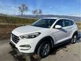 Hyundai TUCSON Tucson 2,0 CRDI 4WD Premium Premium Weiß - thumbnail 1