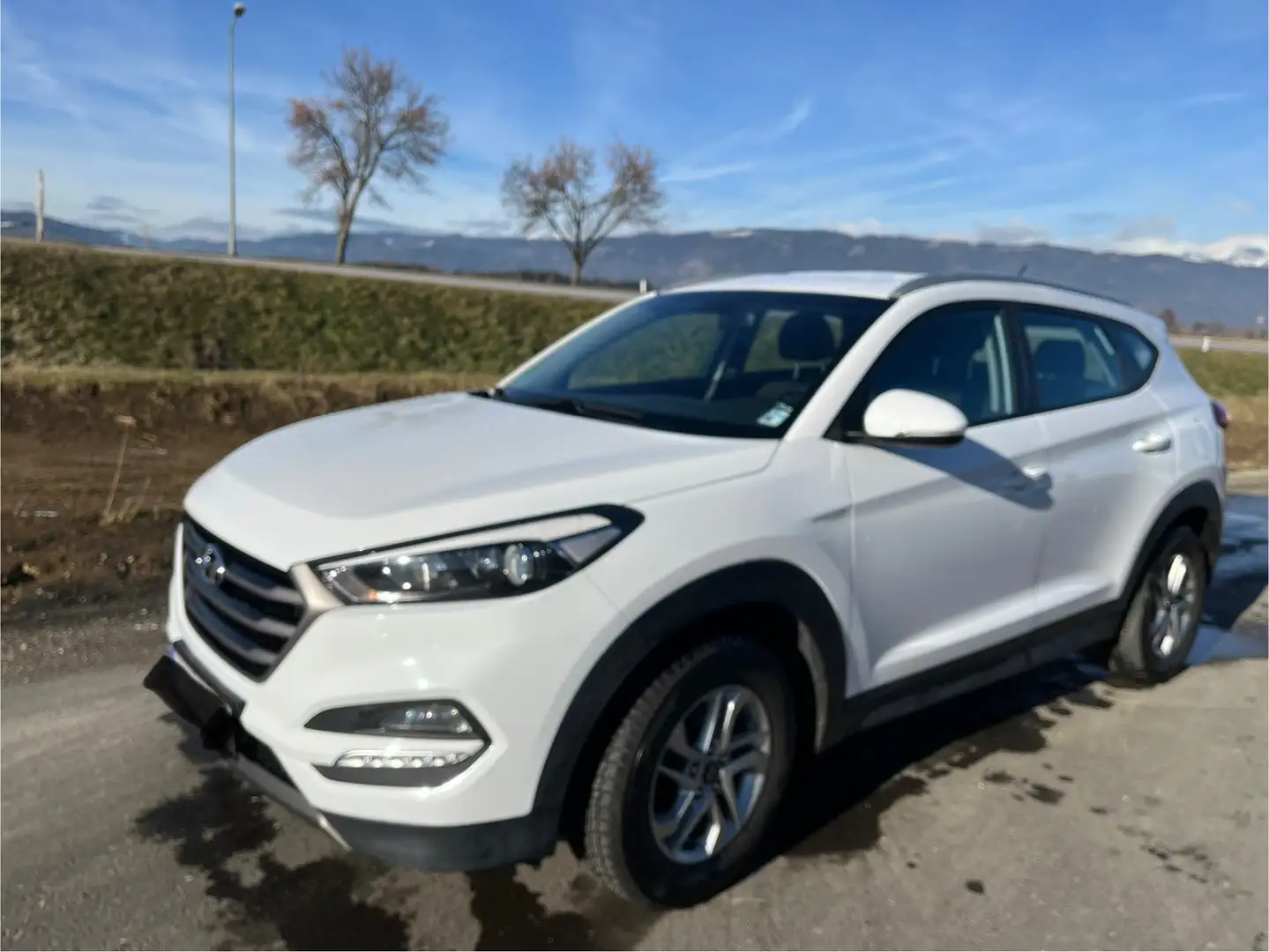Hyundai TUCSON Tucson 2,0 CRDI 4WD Premium Premium Weiß - 1