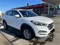 Hyundai TUCSON Tucson 2,0 CRDI 4WD Premium Premium Weiß - thumbnail 4