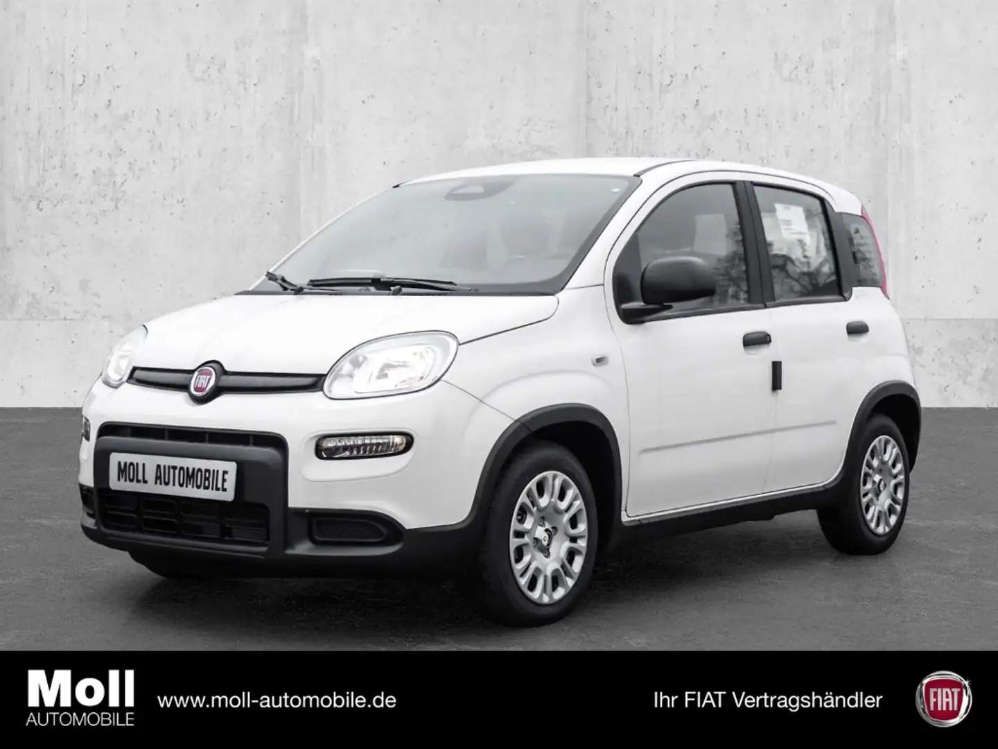 Fiat Panda Mild Hybrid City Paket  Gelato Weiß Blanc - 1