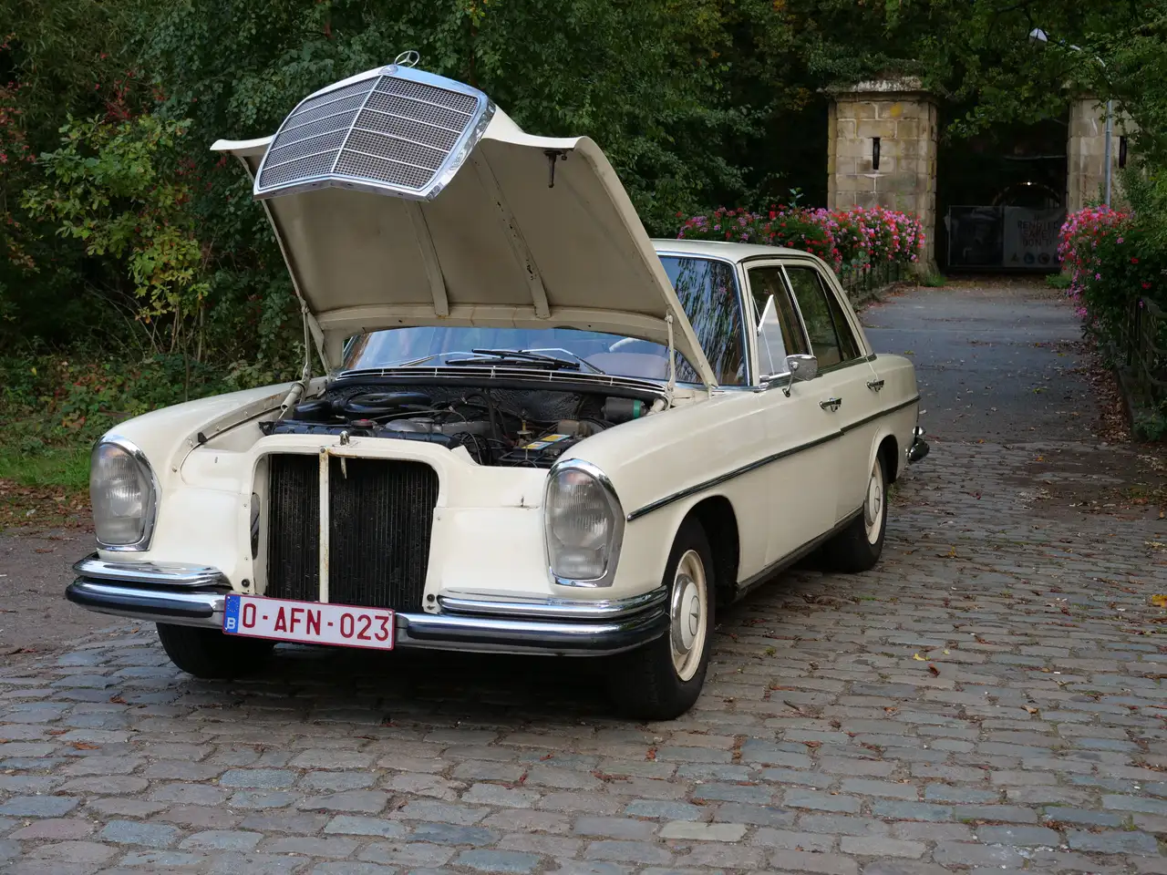 Mercedes-Benz 250, foto 8