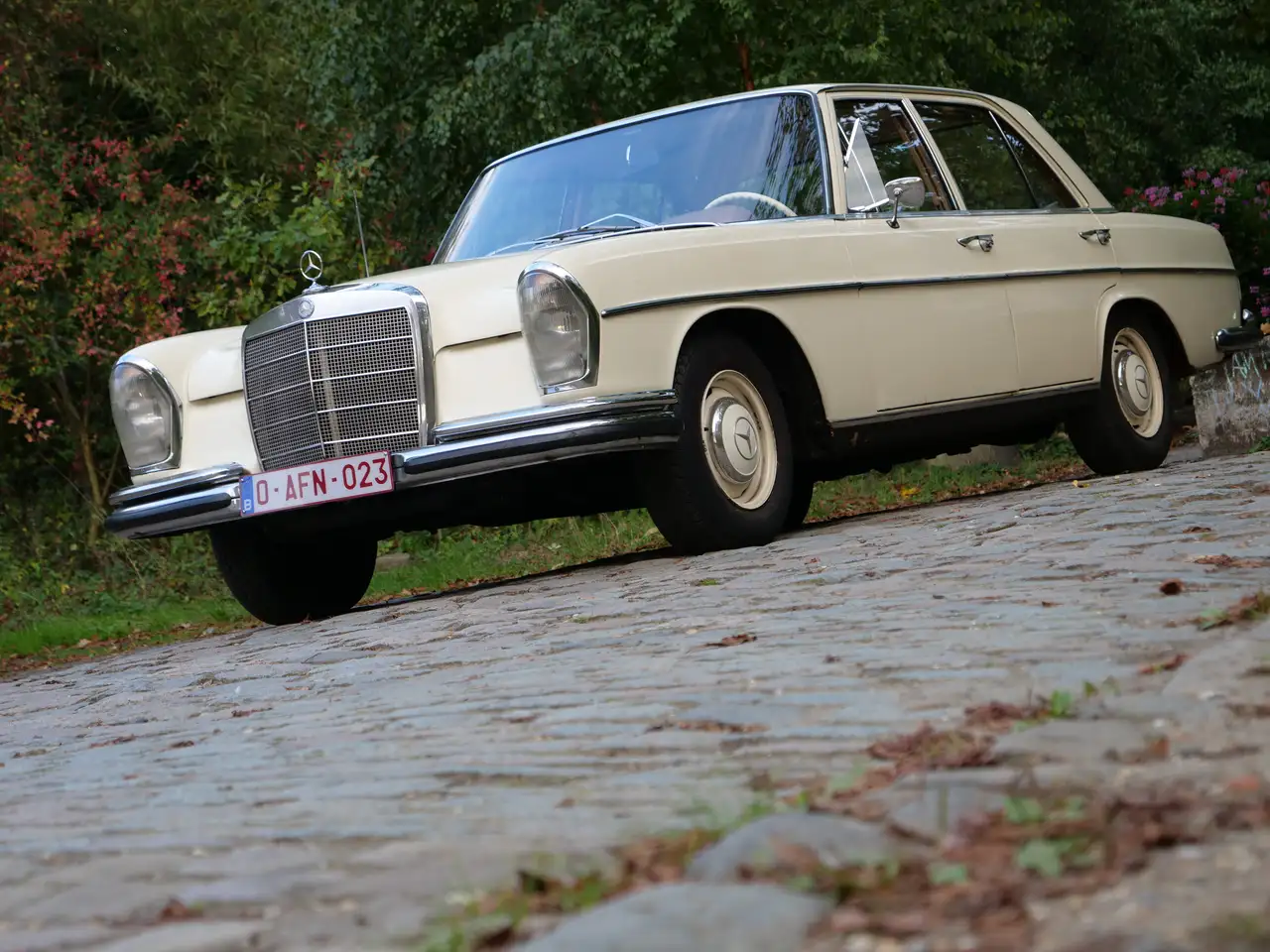 Mercedes-Benz 250, foto 7
