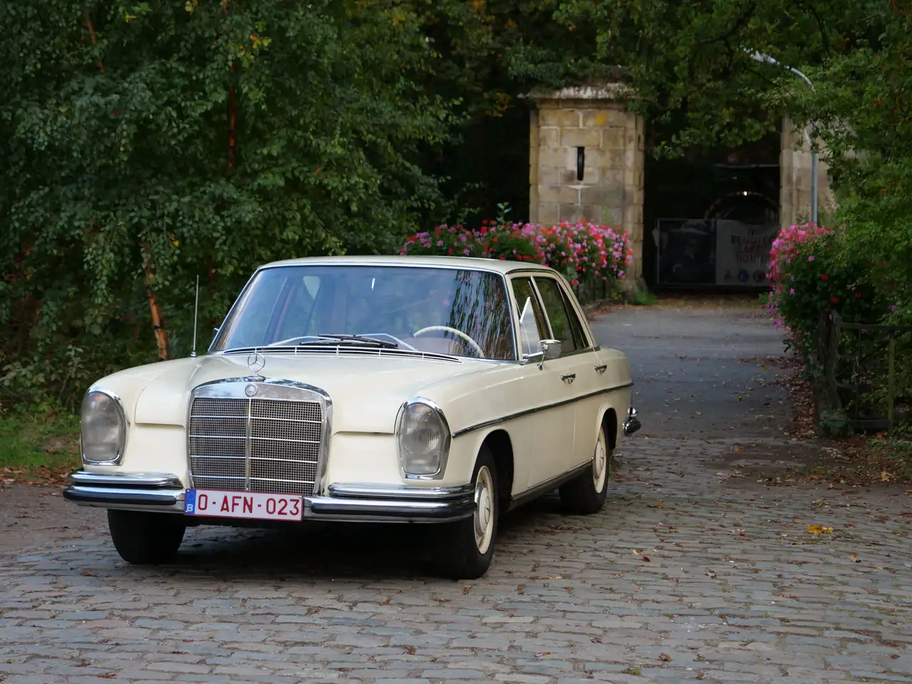 Mercedes-Benz 250, foto 5