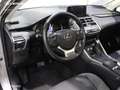 Lexus NX 300 300h Premium 2WD Argento - thumbnail 19