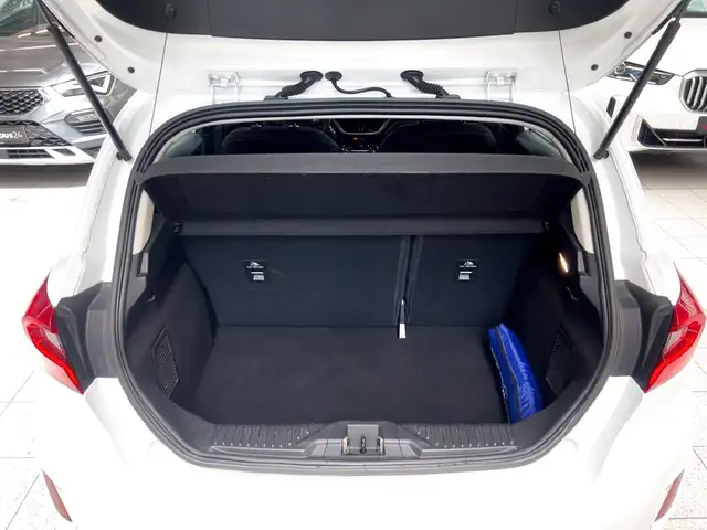 Ford Fiesta view 6