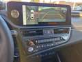 Lexus ES 300 h Luxury Line HUD, LED, Navi, Schiebedach Gris - thumbnail 16