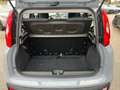 Fiat Panda City Life 70 PS Hybrid Schalter Grau - thumbnail 9