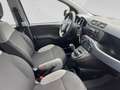 Fiat Panda City Life 70 PS Hybrid Schalter Grau - thumbnail 21