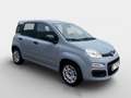 Fiat Panda City Life 70 PS Hybrid Schalter Grau - thumbnail 2