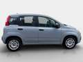 Fiat Panda City Life 70 PS Hybrid Schalter Grau - thumbnail 3