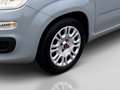 Fiat Panda City Life 70 PS Hybrid Schalter Grau - thumbnail 8