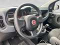 Fiat Panda City Life 70 PS Hybrid Schalter Grau - thumbnail 12