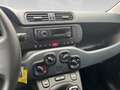 Fiat Panda City Life 70 PS Hybrid Schalter Grau - thumbnail 17