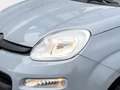 Fiat Panda City Life 70 PS Hybrid Schalter Grau - thumbnail 7