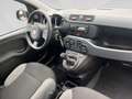 Fiat Panda City Life 70 PS Hybrid Schalter Grau - thumbnail 20