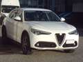 Alfa Romeo Stelvio 2.2 Turbodiesel 210 CV AT8 Q4 Ex 1°PROPRIETARIO Blanc - thumbnail 6