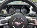 Ford Mustang Convertible 5.0 Ti-VCT GT Aut. Rojo - thumbnail 25