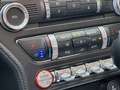 Ford Mustang Convertible 5.0 Ti-VCT GT Aut. Rojo - thumbnail 9