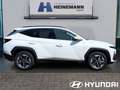 Hyundai TUCSON FL (MY25) 1.6 T-GDI (160 PS) 48V 7-DCT 4W Weiß - thumbnail 6
