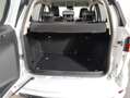 Ford EcoSport 1.0 EcoBoost 125 CV Start&Stop ST-Line Wit - thumbnail 11