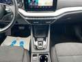 Skoda Octavia Combi 2.0 TDI DSG 4x4 - Style AHK Grau - thumbnail 15