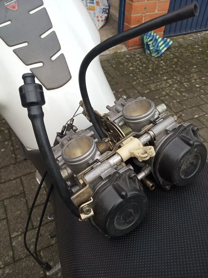 Ducati Monster 900 Carburatorversie Blanc - 1