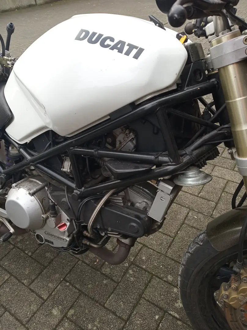 Ducati Monster 900 Carburatorversie Blanc - 2