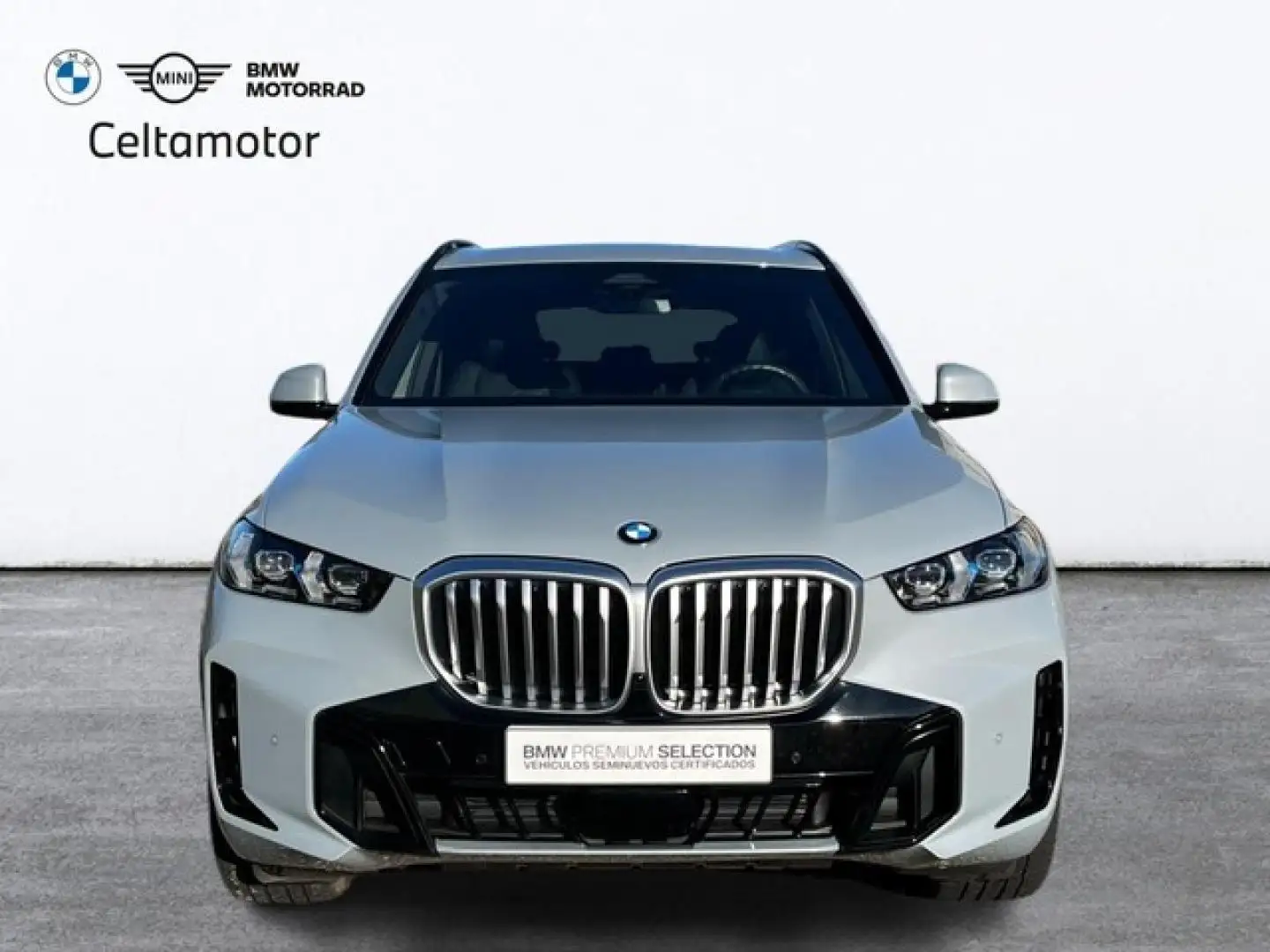 BMW X5 xDrive 40dA Gris - 2
