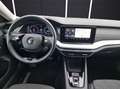 Skoda Octavia Combi TDI First-Edition DSG LED Navi PDC SH Grau - thumbnail 14
