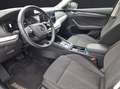 Skoda Octavia Combi TDI First-Edition DSG LED Navi PDC SH Grau - thumbnail 11