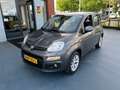 Fiat Panda 1.2 Lounge AIRCO LMV STOELVERWARMING Gris - thumbnail 9