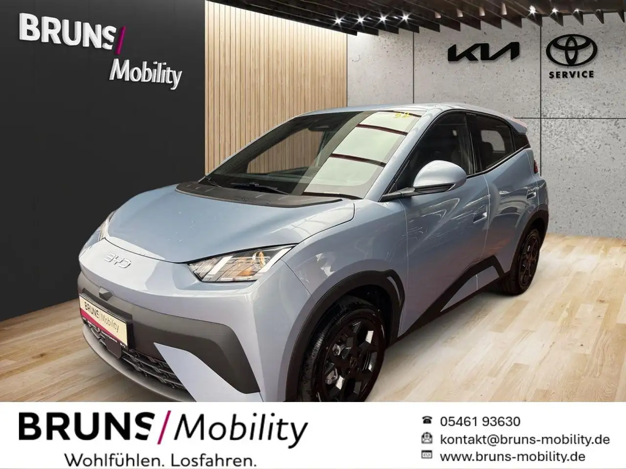 BYD Dolphin surf