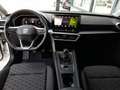 SEAT Leon ST FR-LINE 2,0 TDI Weiß - thumbnail 3