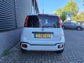Fiat Panda 1.0 Hybrid City Cross Blanc - thumbnail 5