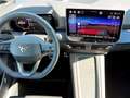 CUPRA Born PLUS 58/61 140kW/190PS Grau - thumbnail 12