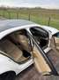 BMW 520 AUTOMAAT Wit - thumbnail 8